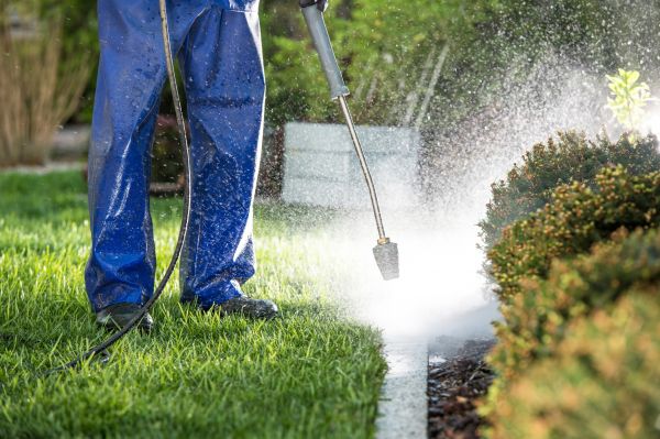 Cost of Curb Cleaning in West Lafayette