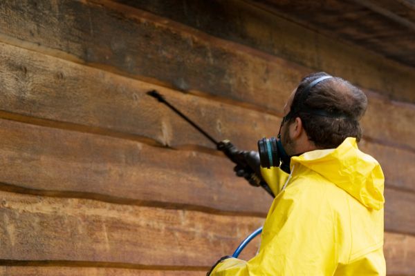 Cost of Cedar Siding Washing in West Lafayette